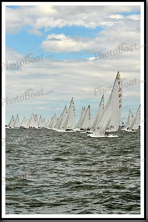 proof_2010_EScows_B 088