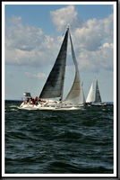 proof_2010_Vineyard_Race_0041