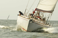 2015 Vineyard Race A 1220