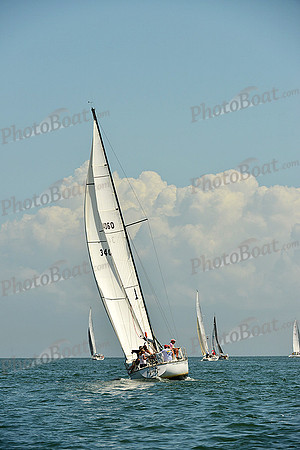 2015 Southern Bay Race Week C 508