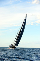2014 Newport Bermuda A 2584