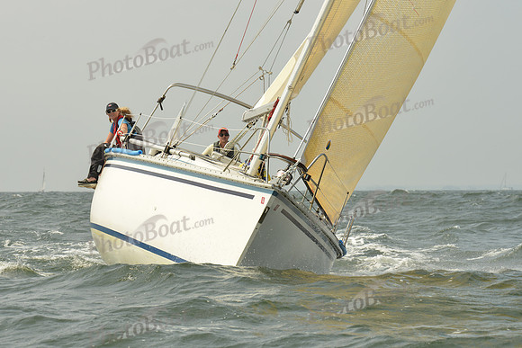 2015 Vineyard Race A 329