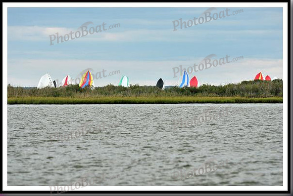 proof_2010_EScows_C 114