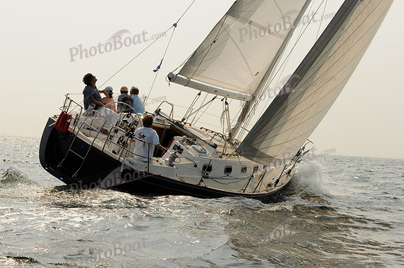 2011 Vineyard Race B 256