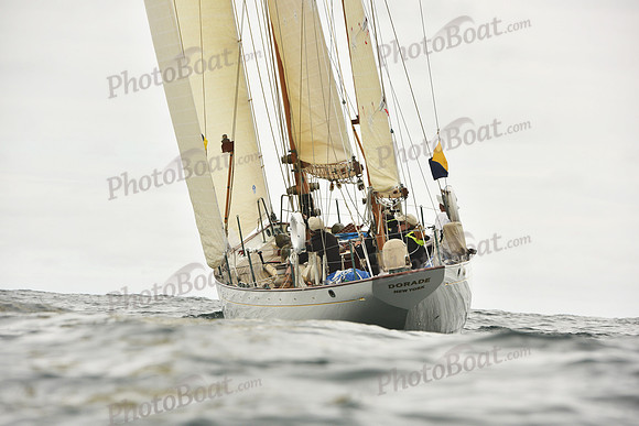 2018 Newport Bermuda Race A_0635
