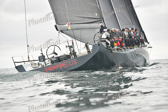 2018 Newport Bermuda Race A_1386