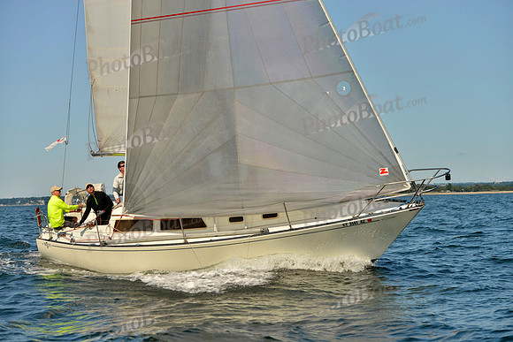 2017 Stamford Denmark Race_0017