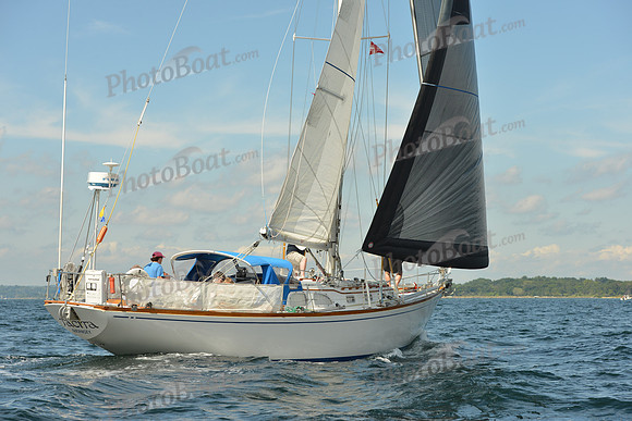2015 Denmark Race A 585
