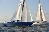 2019 ALIR_2397