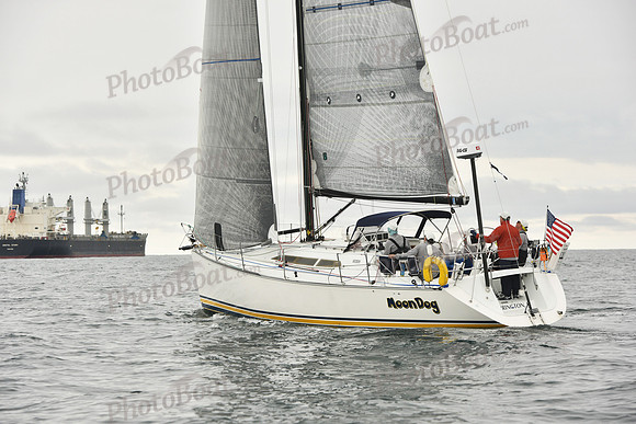 2018 Newport Bermuda Race A_1232