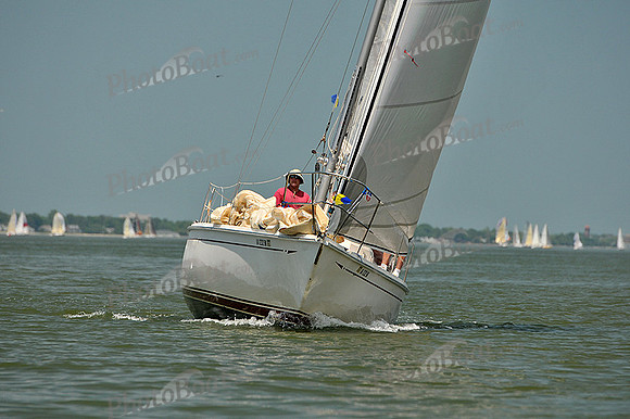 2013 Southern Bay Race Week A 511