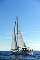 2014 Vineyard Race A 334