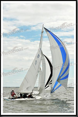 proof_2010_EScows_A 725