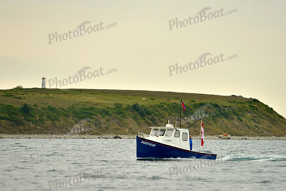 2016 Chester Race Week E_0208