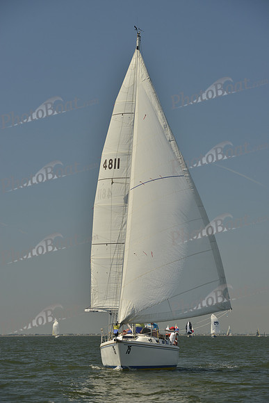 2017 Southern Bay Race Week B_0338