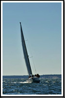 proof_2010_Vineyard_Race_2894