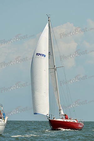 2015 Southern Bay Race Week C 1141