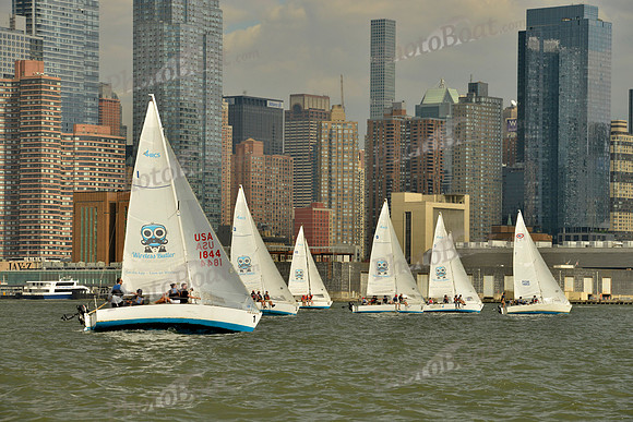 2017 NY Architects Regatta A_0469