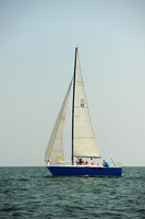 2014 Cape Charles Cup A 954