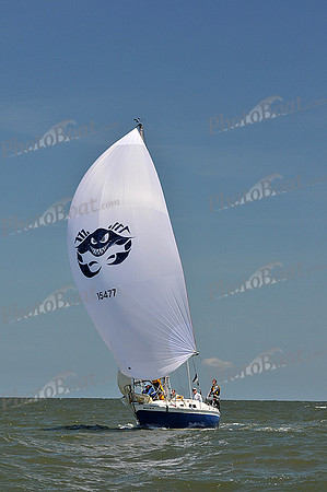 2014 Southern Bay Race Week D 1104
