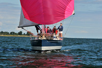 2010 IRC LIS 1848