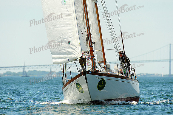 2014 NYYC Annual Regatta C 326
