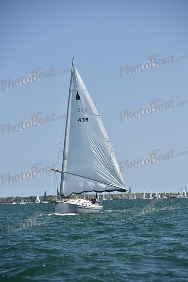 2019 Figawi_0445
