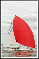 proof_2010_EScows_A 880