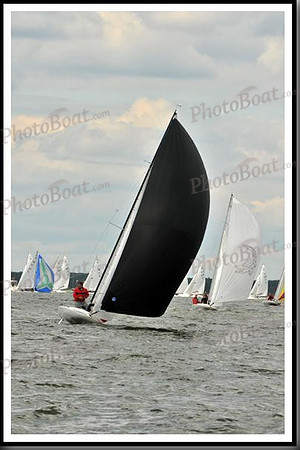 proof_2010_EScows_B 537