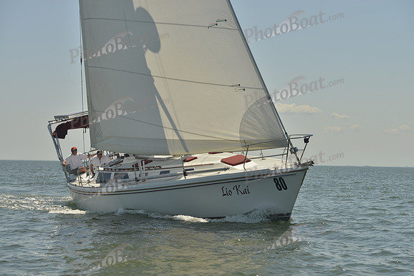 2017 Southern Bay Race Week B_1128