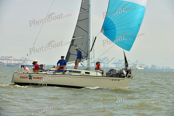 2016 Southern Bay Race Week B_0157