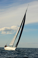 2014 Newport Bermuda A 2481