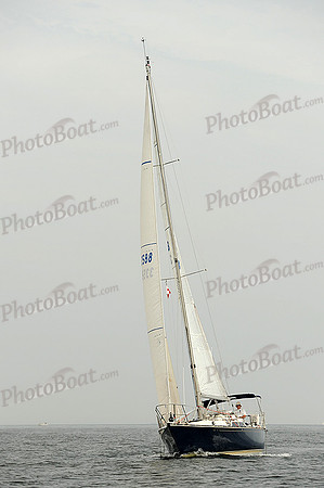 2013 Vineyard Race B 236