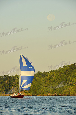2015 Gov Cup C 555
