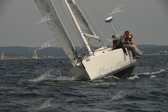 2016 Chester Race Week C_0144