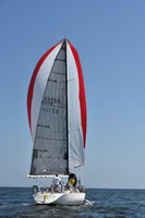 2020 Vineyard Race A_0189