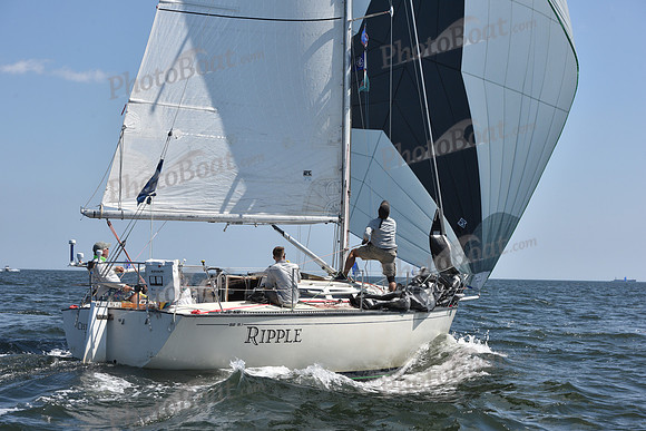 2020 Vineyard Race A_0432