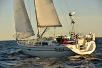 2016 Newport Bermuda Race_2786