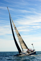 2014 Newport Bermuda A 1062