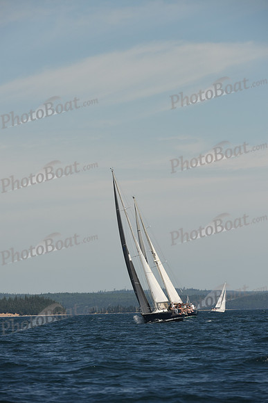 2016 Chester Race Week A_0441