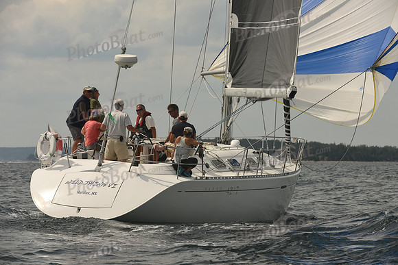 2016 Chester Race Week C_1519