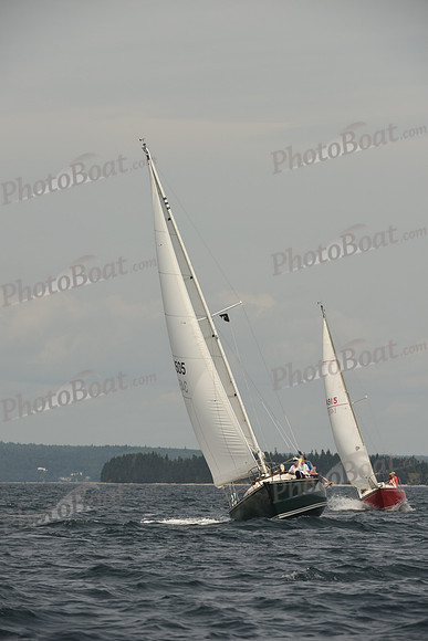2016 Chester Race Week C_1259
