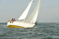 2015 Vineyard Race A 368