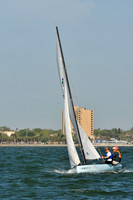 2012 Thistle Midwinters B 441