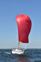 2019 Vineyard Race A_0298
