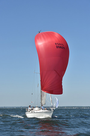 2019 Vineyard Race A_0298