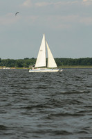 2011 Gov Cup A 1291