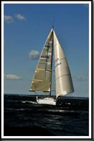 proof_2010_Vineyard_Race_0372