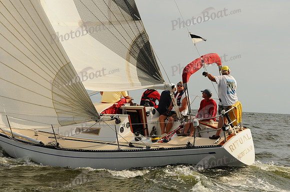2011 Gov Cup A 1259