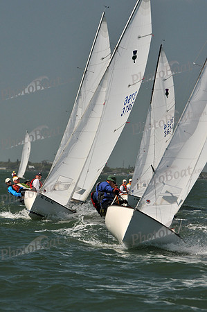 2012 Thistle Midwinters C 254